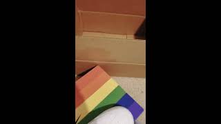 Pride shoes unboxing. Be true air force 1 and reebok