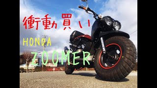 HONDA ZOOMER新年一発目の衝動買い