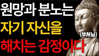 [구독자 요청]원망과 분노는 노후를 망치는 습관이다 | 부정적인 감정을 현명하게 다스리는 방법 | 인생조언 | 오디오북 | 지혜 | 철학 | 수면 | 불교 |