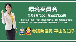 20210322環境委員会 参議院平山佐知子 予算委嘱審査