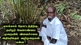 ஏலக்காய் தோட்டத்திற்கு, தமிழர் வேளாண்மை முறையில் விளைச்சலை அதிகரிக்கும் வழிமுறைகள்  என்ன? 💐👍🌎👍😌