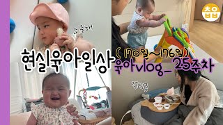 육아vlog | 과일 처음 먹어본 아기반응👶🏻🍐🍌, 아파도 육아🏥, 25주 육아일상, 6개월 아기일상