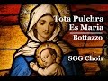 Tota Pulchra Es Maria by L. Bottazzo