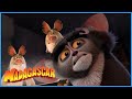 All Hail King Julien | Ted? What Are You Doing Here? | Madagascar