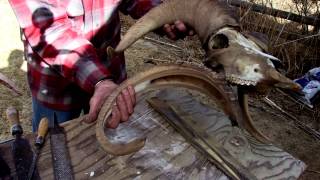 Wyoming's Tom Lucas Making Sheep Horn Bows