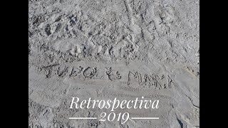 Retrospectiva 2019: Conquistas e dicas do Blog Tudo é Mara