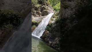 dukane waterfall Almora uttarakhand #waterfall #uttarakhand #shorts #instagram #viralvideo