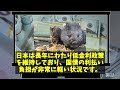 【海外の反応】1ドル1466ウォン！ウォン逝って韓国撃沈！【ゆっくり解説】