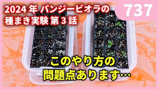 冷蔵庫でできるパンジービオラの種まき パート3ｂｙ園芸チャンネル 737 園芸 ガーデニング 初心者