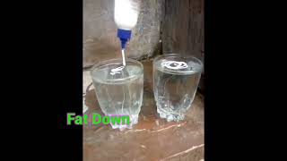 Fevicol vs normal+ cool water | Simple Science Experiment | Easy Experiment #E_bull_jet#yt