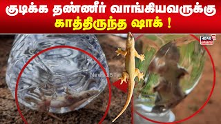 Lizard Found Inside Water Bottle | சுத்தமான தண்ணீர் பாட்டிலில் சுவர் பல்லி ! |  Viral Video  | N18V