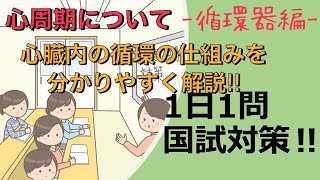 【第110回看護師国家試験】心周期　1日1問国試対策☆一般☆