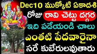 డిసెంబర్ 10ముక్కోటి ఏకాదశి రోజు రావి చెట్టు దగ్గర ఇది పడేయండి చాలు ఎంతటి పేదవారైనా సరే కుబేరులవుతారు