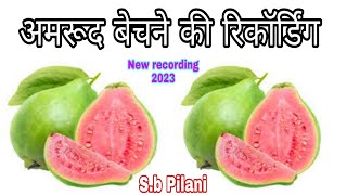 अमरुद बेचने की रिकॉर्डिंग / amrud bechne ki recording / Sb Pilani