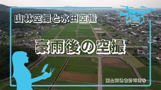 群馬県　太田市　某所　水田　森林空撮