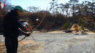 Longbow shooting trainning