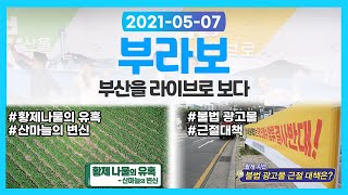 특별한 날, 나만의 핸드메이드 / 황제나물의 유혹, 산나물의 변신 / 함께 어우러져 살아가는 우리 동네 / 생방송 부라보 20210507