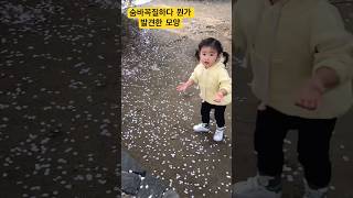 숨바꼭질하다 뭔가 발견한 아기 반응! 말못하는데 표현이 넘 귀여움 #funny #귀여운영상 #육아 #귀여운아기