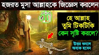 হে আল্লাহ তুমি টিকটিকি কেন সৃষ্টি করলে? হযরত মূসা (আ.) প্রশ্নে আল্লাহর অবাক করা উত্তর Islamic Story