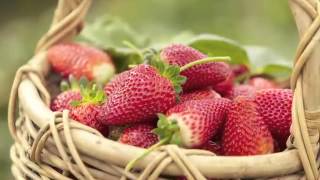 Strawberry Farm HD