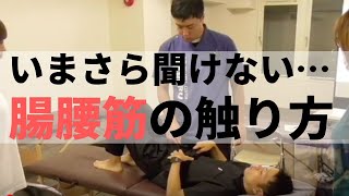 【実技】腸腰筋をサクッと触診する簡単な方法