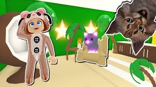 Bloxburg Nuevas Literas Y Muebles Actualizaciòn Roblox - 