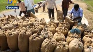 Telangana Govt Stops Paddy Purchases From Indira Kranthi Padham (IKP) Members