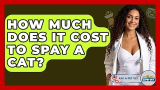 How Much Does It Cost To Spay A Cat? - Ask A Pet Vet