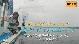 2025年5月16日 冨浦沖で午後コマセ真鯛船だよ #冨浦新港 #共栄丸 #SHIMANO #フォースマスター600 #コマセ真鯛釣 #探見丸 #brave7le #関東の船釣り  #釣り好きおじさん