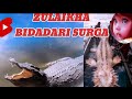 VIRAL - BUAYA RAWA RAKSASA DiSUNGAI Part-3