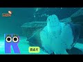 ABC Sea Animals Song for Kids | Learn English and Animals #abcd