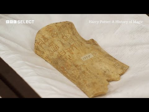 What do oracle bones tell us about the development of the Chinese language?