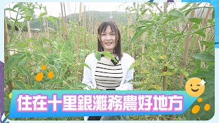 【2023十里銀灘-生活指南】住在十里銀灘務農好地方  #十里銀灘 #十里銀灘生活指南