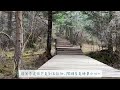 一個人的旅行，九寨溝￼ 20240404