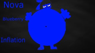 Nova Blueberry Inflation