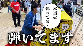 サザンの不動の名曲！「希望の轍」【ストリートピアノ】