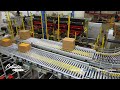 multi line robot palletizing system handling unfolded cases