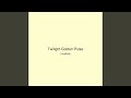 Twilight Golden Pulse