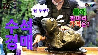 수석경매 물개 모양 수석 가격은?