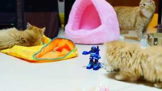 【マンチカンズ】子猫VS格闘ロボ２ ~ a funny robot　VS　kittens ~