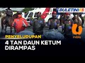 PENYELUDUPAN | PGA Rampas Lebih 4 Tan Daun Ketum Di Sempadan Malaysia-Thailand