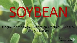 | SOYBEAN | Origin, cultivation practices and Utilization HPU B.Sc. 3rd Year