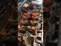 Timing chain Kia Forte 2012