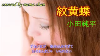 「紋黄蝶」／小田純平　covered by numa chan　(2023.3/8発売「白蓮のかほり」C/W曲)