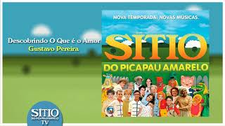 12) Descobrindo O Que é o Amor - Gustavo Pereira