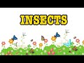 Insects for kids || different kinds of insects || Fun Learning Videos