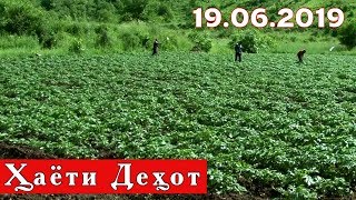 Барномаи кишоварзии Ҳаёти деҳот ( 19.06.2019 )