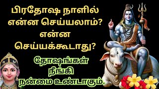 பிரதோஷ வழிபாடு | பிரதோஷ நாளில் என்ன செய்யலாம்? என்ன செய்யக்கூடாது? | தோஷங்கள் நீங்கி நன்மை உண்டாகும்