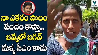 నా ఎకరం పొలం పందెం కాస్తా జన్మలో జగన్ మళ్ళీ సీఎం కాడు | CM Jagan | Vaartha Vaani