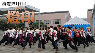 【よさこい橙蘭】海遊祭1日目　燈印（あかし）